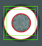 AccuCheck Print Capability Verification